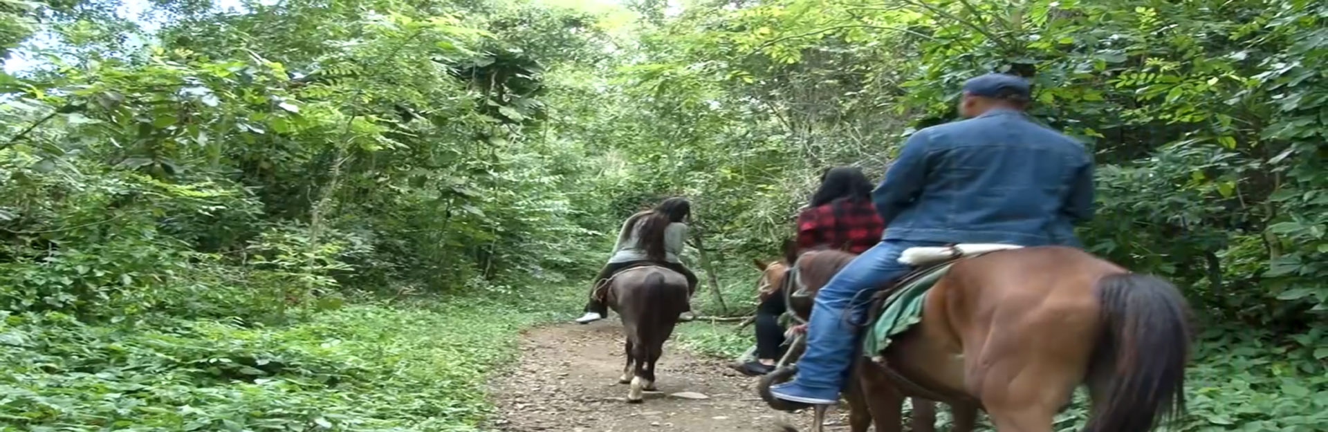 Reitweg nach Soroa, Cuba Travel